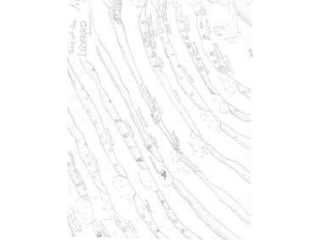 Students Map and Illustrate Dante's Inferno