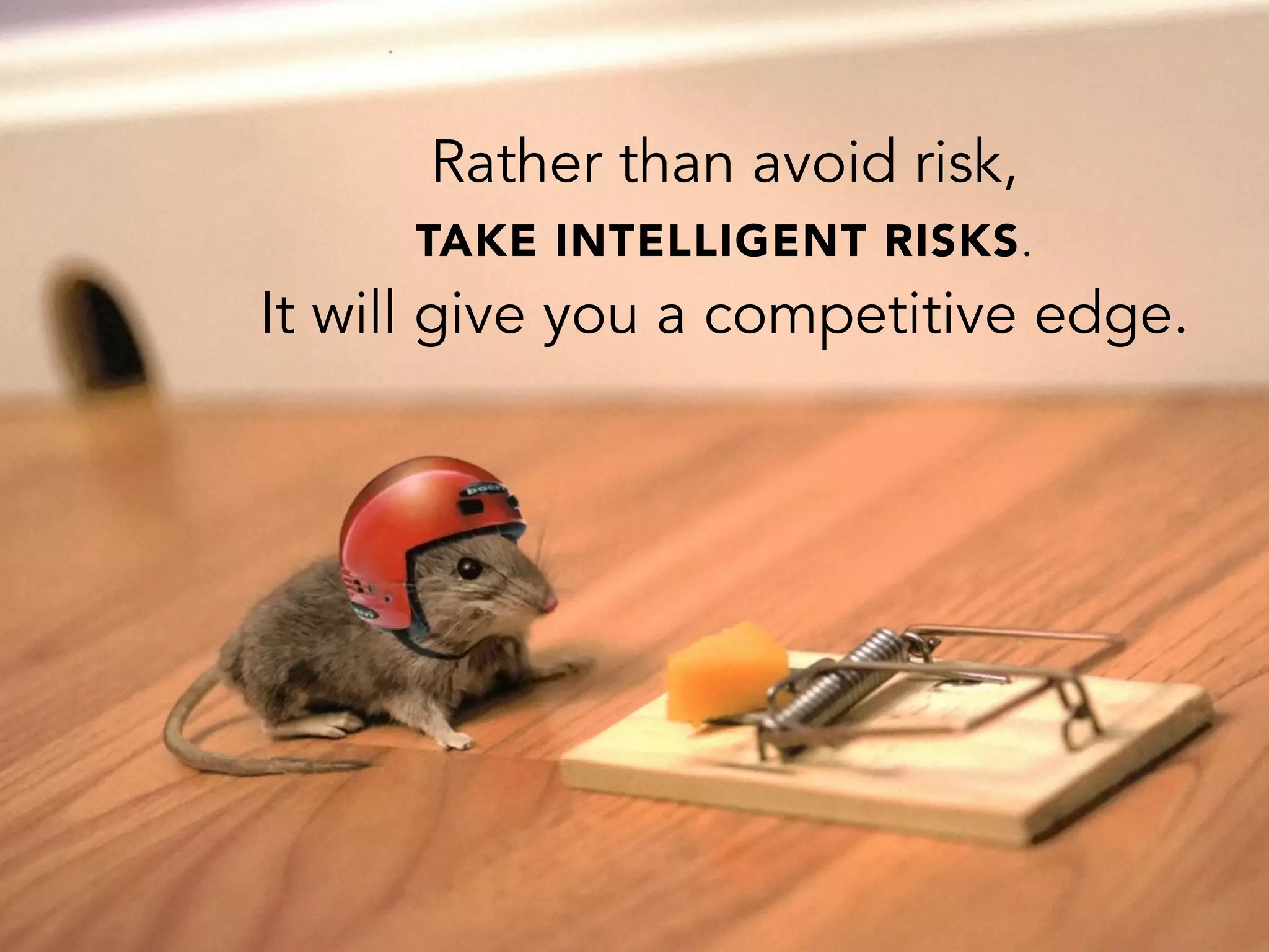 Rather than avoid risk,
TAKE INTELLIGENT RISKS.
It will give you a competitive edge.
 