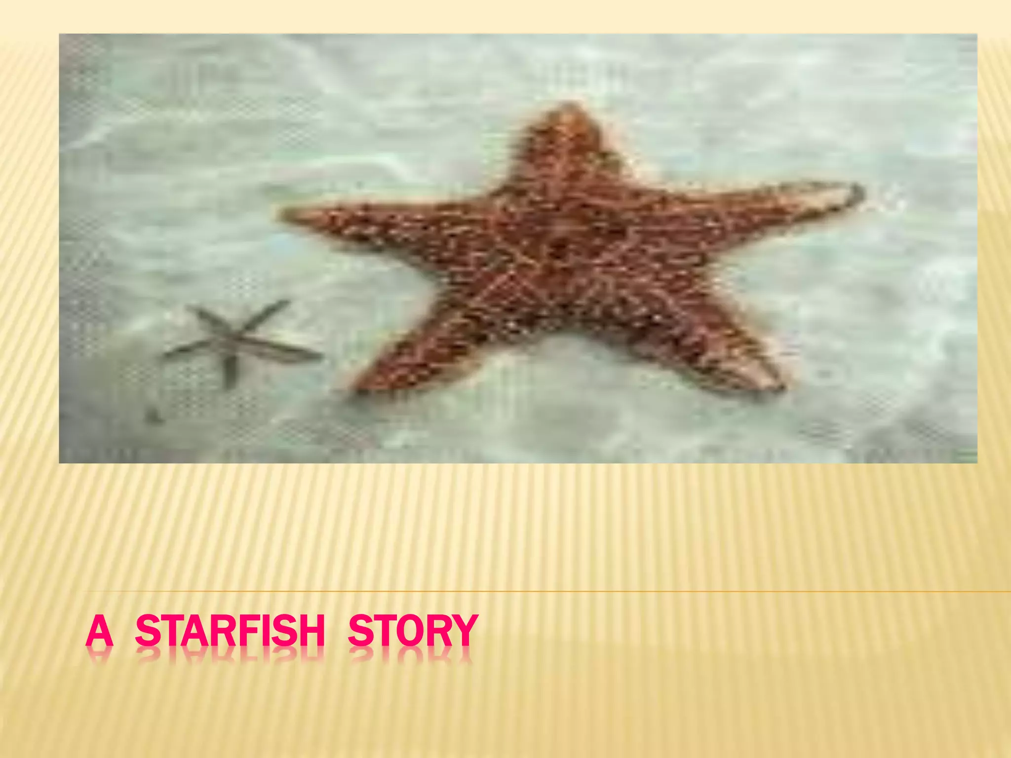 A STARFISH STORY
 