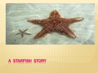 A STARFISH STORY
 
