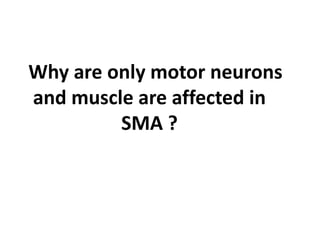 Why are only motor neurons
and muscle are affected in
SMA ?
 