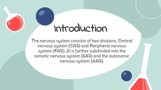 Structure and function of nervous system.pptx