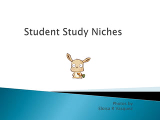 Student Study Niches  Photos by  Eloisa R Vasquez 