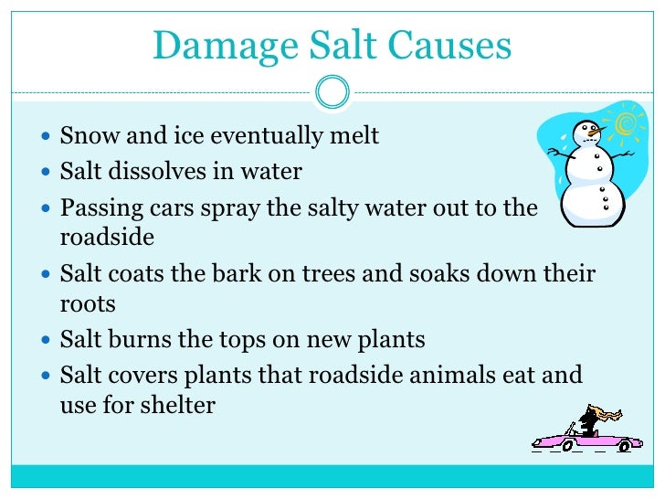 Road Salt Presentation