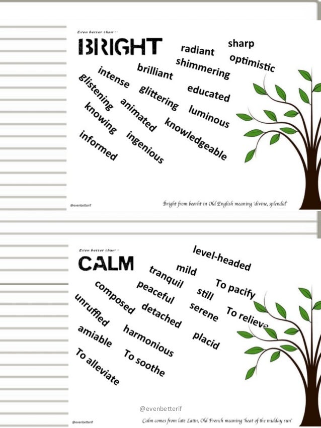 English essay thesaurus