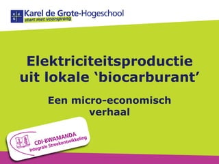 Elektriciteitsproductie
uit lokale ‘biocarburant’
Een micro-economisch
verhaal
 