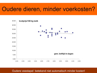 Oudere dieren, minder voerkosten? Oudere veestapel  betekend niet automatisch minder kosten! 