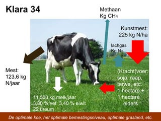 Klara 34 Methaan Kg CH 4 lachgas Kg N 2 De optimale koe, het optimale bemestingsniveau, optimale grasland, etc. Mest: 123,6 kg  N/jaar (Kracht)voer: soja, raap,  tarwe, etc.  1 hectare + 1 hectare  elders Kunstmest: 225 kg N/ha 11.500 kg melk/jaar  3,80 % vet  3,40 % eiwit 22 ureum 
