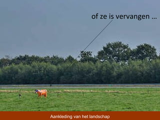 of ze is vervangen … Aankleding van het landschap 