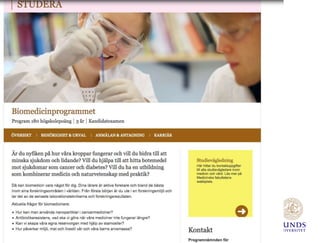 SEO och marknadsföring på webben, exemplet Lunds universitet