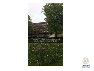 SEO och marknadsföring på webben, exemplet Lunds universitet