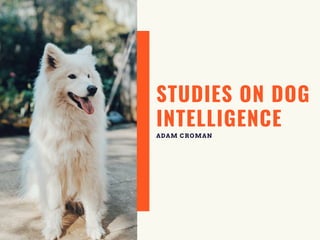 STUDIES ON DOG
INTELLIGENCE
ADAM CROMAN
 