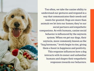 Studies on Dog Intelligence | PDF
