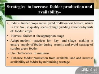 Strategies to increase fodder production and
availability-
• India’s fodder crops annual yield of 40 tonnes/ hectare, which
is low. So use quality seeds of high yielding varieties/hybrids
of fodder crops
• Harvest fodder at the appropriate stage
• Adopt modern practices for hay and silage making to
ensure supply of fodder during scarcity and avoid wastage of
surplus green fodder
• Use chaff-cutter to minimise
• Enhance fodder production from available land and increase
availability of fodder by minimising wastage
 