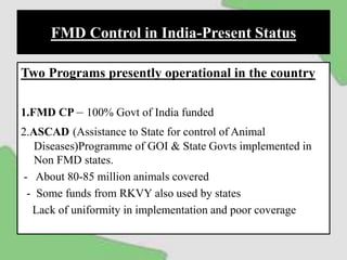 FMD Control in India-Present Status
Two Programs presently operational in the country
1.FMD CP – 100% Govt of India funded
2.ASCAD (Assistance to State for control of Animal
Diseases)Programme of GOI & State Govts implemented in
Non FMD states.
- About 80-85 million animals covered
- Some funds from RKVY also used by states
Lack of uniformity in implementation and poor coverage
 