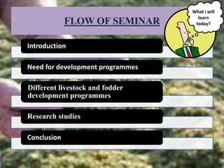 FLOW OF SEMINAR
Introduction
Need for development programmes
Different livestock and fodder
development programmes
Research studies
Conclusion
What i will
learn
today?
 