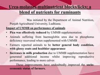 Urea-molasses-multinutrient blocks/licks: a
blend of nutrients for ruminants
Was initiated by the Department of Animal Nutrition,
Punjab Agricultural University, Ludhiana.
Impact of UMMB on performance of animals
• Pica was effectively reduced by UMMB supplementation.
• Animals suffering from haemoglobin urea due to phosphorus
deficiency recovered when supplemented with UMMB
• Farmers reported animals to be better general body condition,
with glossy coats and healthier appearance
• Increases in milk production due to UMMB supplementation have
generated additional income whilst improving reproductive
performance, leading to more calves
These improvements have undoubtedly improved the socio-
economic status of farmers.
 