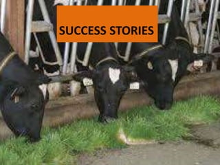 SUCCESS STORIES
 