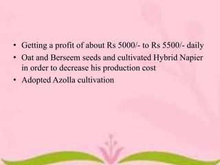 • Getting a profit of about Rs 5000/- to Rs 5500/- daily
• Oat and Berseem seeds and cultivated Hybrid Napier
in order to decrease his production cost
• Adopted Azolla cultivation
 