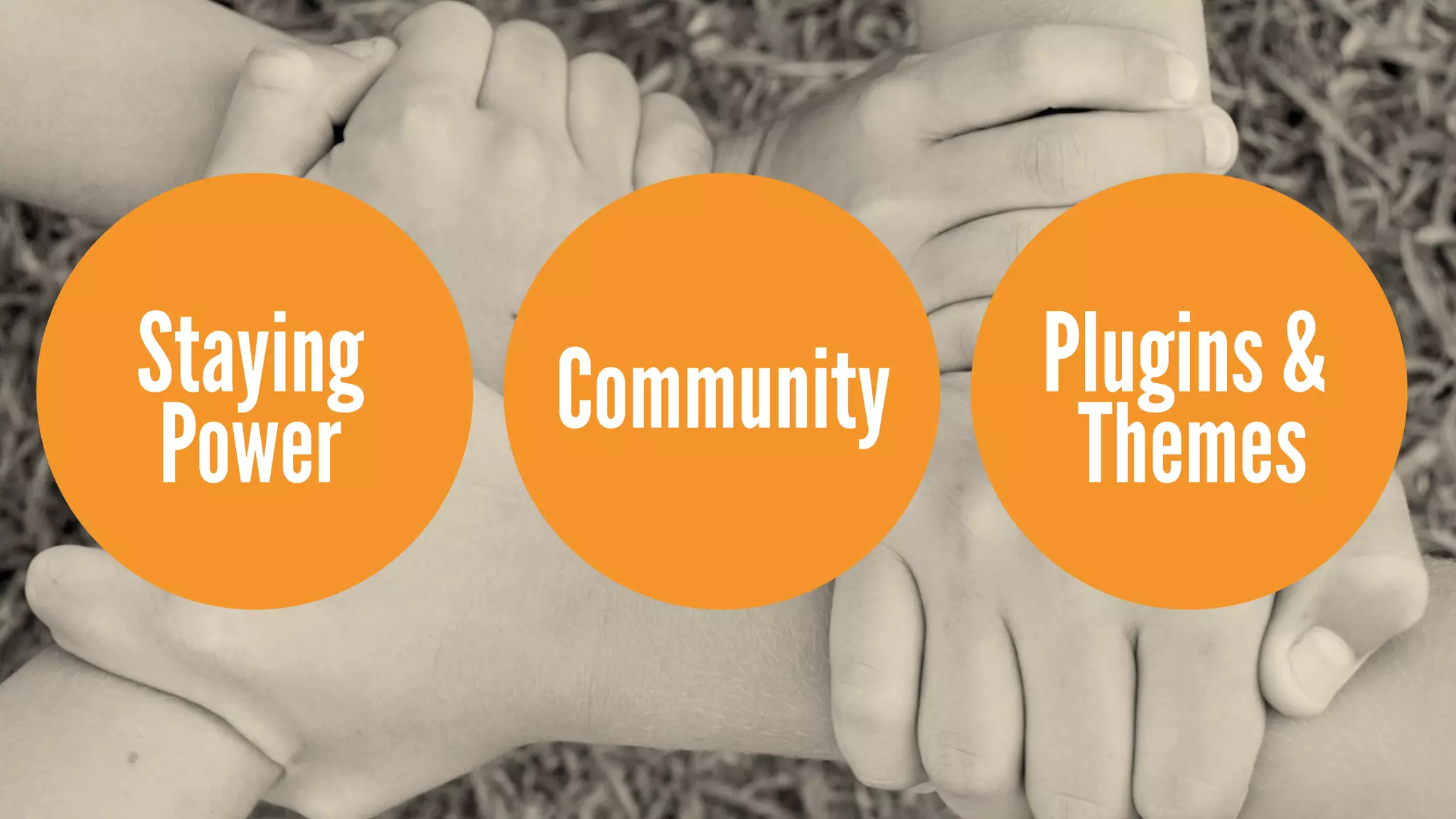 Staying   Community   Plugins &
 Power                 Themes
 