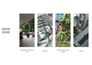 NEGATIVE
CULTURE
Motorbikes on Pedestrian
Path
Vandalism
O’Bike not being handle
properly
Littering
 