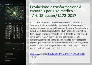 Studio Cannabis Terapeutica italia