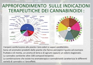 Studio Cannabis Terapeutica italia