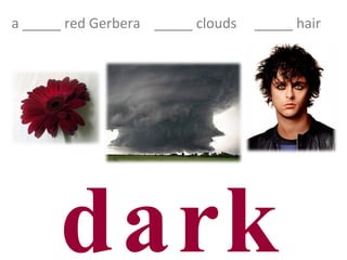dark a _____ red Gerbera  _____ clouds  _____ hair 