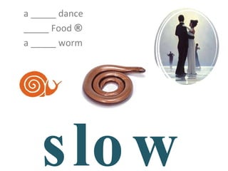 slow a _____ dance _____ Food  ® a _____ worm 