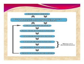 Studioline Consulting Inc Presentation Final