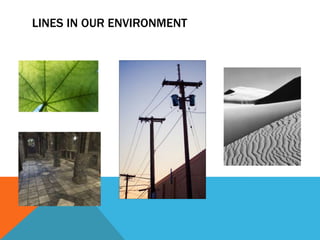 LINES IN OUR ENVIRONMENT
 