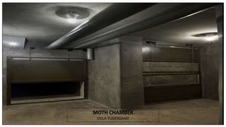 MOTH CHAMBER
VILLA TUGENDHAT
 