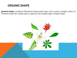 ORGANIC SHAPE
 