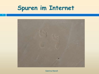 Spuren im Internet
Sabrina Mandl
1
 