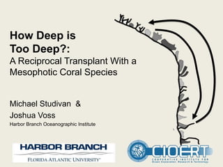 How Deep is
Too Deep?:
A Reciprocal Transplant With a
Mesophotic Coral Species
Michael Studivan &
Joshua Voss
Harbor Branch Oceanographic Institute
 