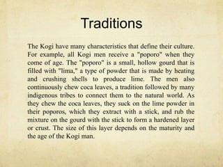 Traditions
The Kogi have many characteristics that define their culture.
For example, all Kogi men receive a "poporo" when they
come of age. The "poporo" is a small, hollow gourd that is
filled with "lima," a type of powder that is made by heating
and crushing shells to produce lime. The men also
continuously chew coca leaves, a tradition followed by many
indigenous tribes to connect them to the natural world. As
they chew the coca leaves, they suck on the lime powder in
their poporos, which they extract with a stick, and rub the
mixture on the gourd with the stick to form a hardened layer
or crust. The size of this layer depends on the maturity and
the age of the Kogi man.
 