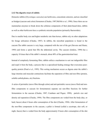 37
2.12 The digestive tract of rabbits
Domestic rabbits (Oryctolagus cuniculus) are herbivores, concentrate selectors, and are classified
as hindgut (caecum and colon) fermentors (Cheeke, 1987;McNitt et al., 1996). Since there are no
mammalian enzymes to break down the cellulose components of their plant-based diets, rabbits
as well as other herbivores have a symbiotic microbe population (primarily Bacteroides).
Due to smaller body size and higher metabolic rate than horses, rabbits rely on other adaptations
for forage utilization (Cheeke, 1987). In rabbits, the microbial population is found in the
caecum.The rabbit caecum is very large, compared with the rest of the gut (Stevens and Hume,
1995) and forms a spiral that fills the abdominal cavity. The caecum (Jenkins, 1999) has a
capacity 10 times that of the rabbit’s stomach, about 40% of the gastrointestinal tract.
Instead of completely fermenting fibre, rabbits utilize a mechanism to sort out indigestible fibre
and expel it from the body, a process that is a specialized feeding strategy that overcomes poor-
quality protein (Pond et al., 1995). This sorting mechanism occurs as digesta enter the rabbit’s
large intestine and muscular contractions facilitate the separation of fibre and non-fibre (protein,
soluble carbohydrates, etc) fractions.
A series of peristaltic (move fibre through colon) and anti-peristaltic waves (move fluid and non-
fibre components to caecum for fermentation) separate out non-fibre fractions for further
fermentation in the caecum (Cheeke, 1987; Carabano and Piquer, 1998); particle size and
density aid separation (Cheeke, 1994). The fibre components are voided from the body (day, or
hard, faeces) about 4 hours after consumption of the diet (Cheeke, 1994). After fermentation of
the non-fibre components in the caecum, a pellet is formed (called a cecotrope, also soft, or
night, faeces) that is voided from the body approximately 8 hours after consumption of the diet
 