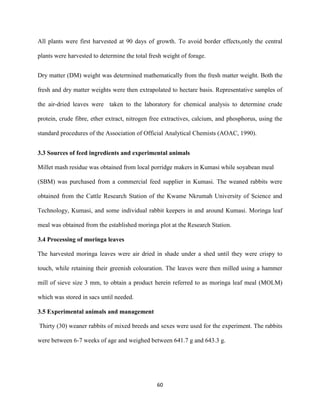 60
All plants were first harvested at 90 days of growth. To avoid border effects,only the central
plants were harvested to determine the total fresh weight of forage.
Dry matter (DM) weight was determined mathematically from the fresh matter weight. Both the
fresh and dry matter weights were then extrapolated to hectare basis. Representative samples of
the air-dried leaves were taken to the laboratory for chemical analysis to determine crude
protein, crude fibre, ether extract, nitrogen free extractives, calcium, and phosphorus, using the
standard procedures of the Association of Official Analytical Chemists (AOAC, 1990).
3.3 Sources of feed ingredients and experimental animals
Millet mash residue was obtained from local porridge makers in Kumasi while soyabean meal
(SBM) was purchased from a commercial feed supplier in Kumasi. The weaned rabbits were
obtained from the Cattle Research Station of the Kwame Nkrumah University of Science and
Technology, Kumasi, and some individual rabbit keepers in and around Kumasi. Moringa leaf
meal was obtained from the established moringa plot at the Research Station.
3.4 Processing of moringa leaves
The harvested moringa leaves were air dried in shade under a shed until they were crispy to
touch, while retaining their greenish colouration. The leaves were then milled using a hammer
mill of sieve size 3 mm, to obtain a product herein referred to as moringa leaf meal (MOLM)
which was stored in sacs until needed.
3.5 Experimental animals and management
Thirty (30) weaner rabbits of mixed breeds and sexes were used for the experiment. The rabbits
were between 6-7 weeks of age and weighed between 641.7 g and 643.3 g.
 