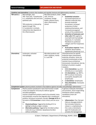 Inflammation Notes.pdf Study-notes_Inflammation-and-repair.pdf by handwritten hi | PDF