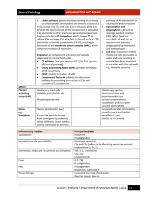 Inflammation Notes.pdf Study-notes_Inflammation-and-repair.pdf by handwritten hi | PDF