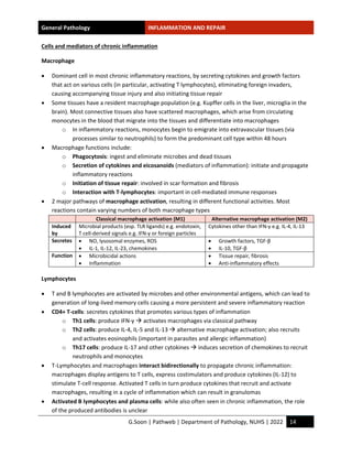 Inflammation Notes.pdf Study-notes_Inflammation-and-repair.pdf by handwritten hi | PDF