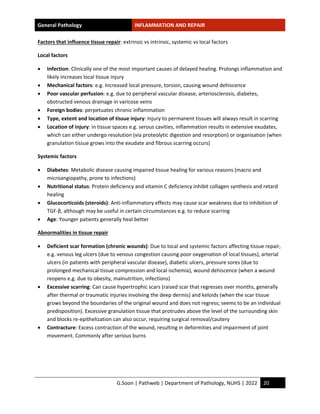 Inflammation Notes.pdf Study-notes_Inflammation-and-repair.pdf by handwritten hi | PDF