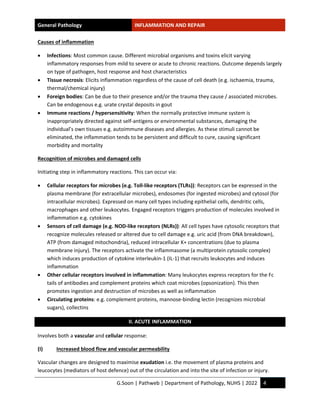 Inflammation Notes.pdf Study-notes_Inflammation-and-repair.pdf by handwritten hi | PDF