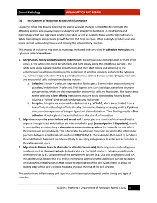 Inflammation Notes.pdf Study-notes_Inflammation-and-repair.pdf by handwritten hi | PDF