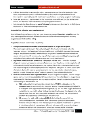 Inflammation Notes.pdf Study-notes_Inflammation-and-repair.pdf by handwritten hi | PDF
