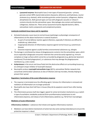 Inflammation Notes.pdf Study-notes_Inflammation-and-repair.pdf by handwritten hi | PDF