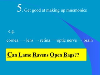 5 . Get good at making up mnemonics e.g.  c ornea  l ens  r etina  o ptic nerve  b rain C an  L ame  R avens  O pen  B ags?? 