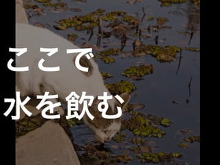 
ˮ
 