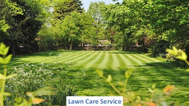 Lawn Care Service
 