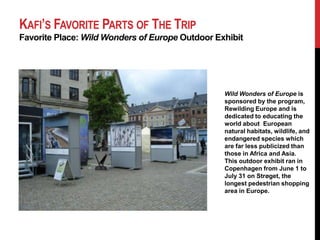 It merged with Copenhagen University Library in 1989.